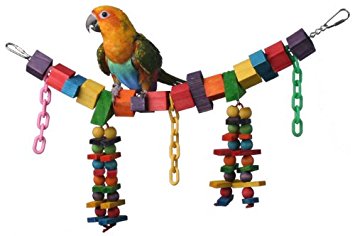 Colourful Bird Swing